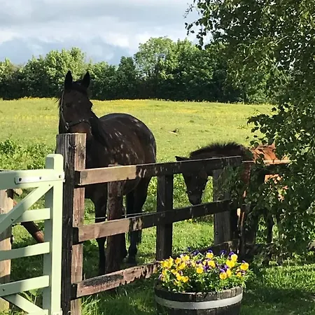 Εξοχικό σπίτι Rossmanagher House Bunratty