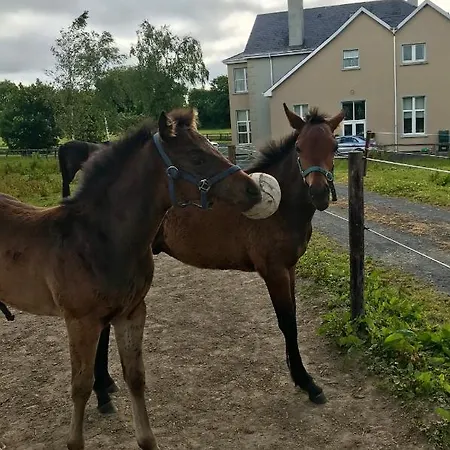 Rossmanagher House Εξοχικό σπίτι Bunratty
