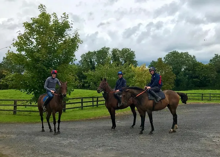 Rossmanagher House * Bunratty