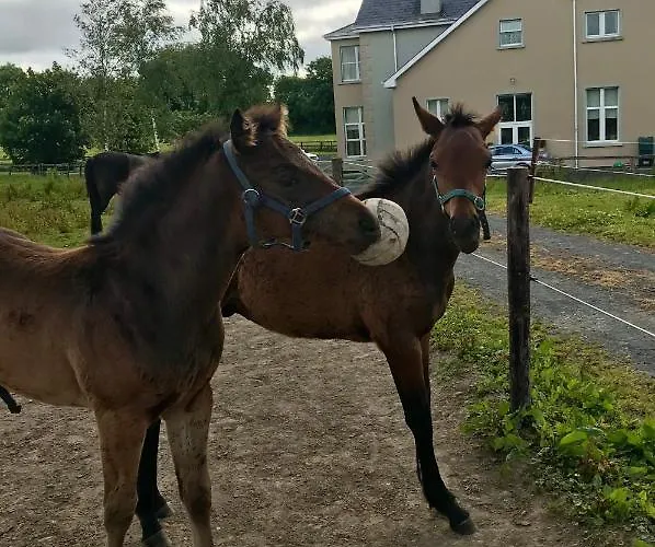 Rossmanagher House Lantställe Bunratty